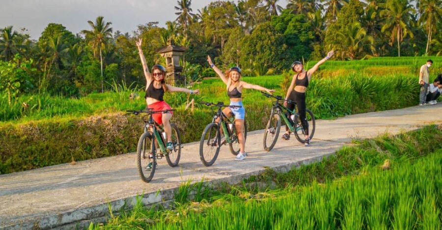 E-Bike: Ubud Rice Terraces & Traditional Villages Cycling - Tour Overview and Pricing