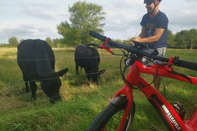 E-Biking Central Forgotten Giants S Adventure