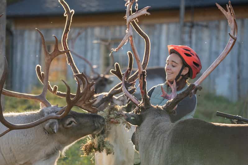 E-FATBIKE TRIP TO THE REINDEER FARM