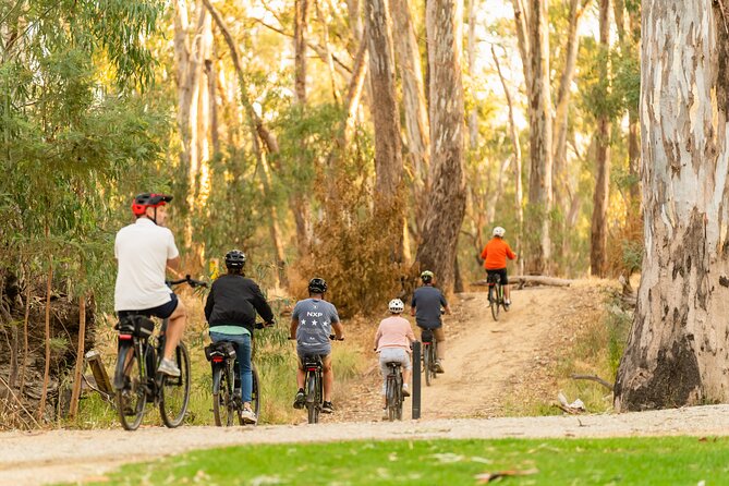 E-Mountain Bike Hire Echuca Moama – Full Day