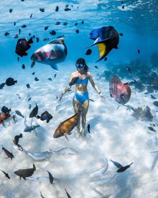 East Bali : Blue Lagoon Snorkeling – All Inclusive