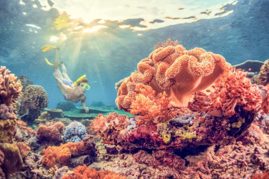 East Bali: Snorkeling Day Trip to Amed - Overview and Pricing