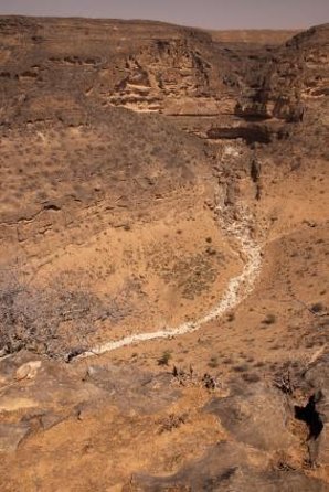 East & West Salalah Combination Tour - Darbat Waterfall, Mughsail