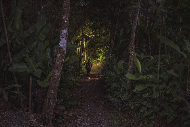 Ecogarden Arenal Night Walk - Tour Details