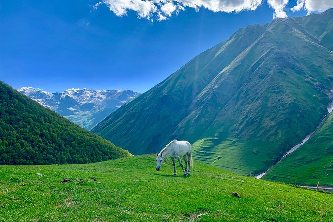 ️Private Full-Day Tour to Mtskheta and Kazbegi(Stepantsminda) From Tbilisi