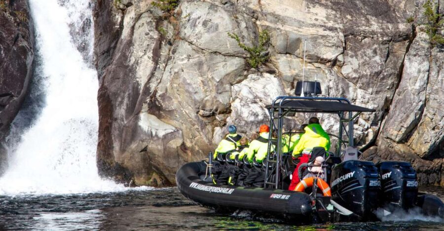 Eidfjord: 1-Hour Fjord RIB Tour