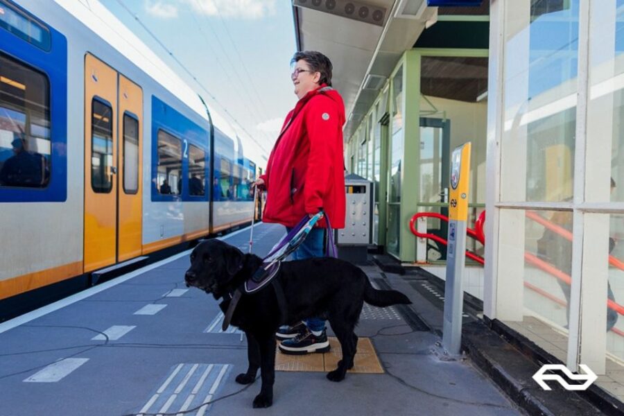 Eindhoven: Train Transfer Eindhoven From/To The Hague