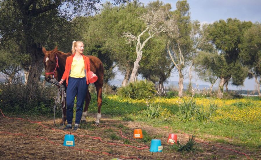 El Palmar: Reconnect Through Coaching With Horses