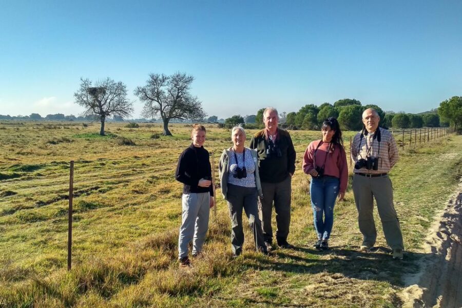 El Rocío: Doñana National Park 4×4 Guided Tour