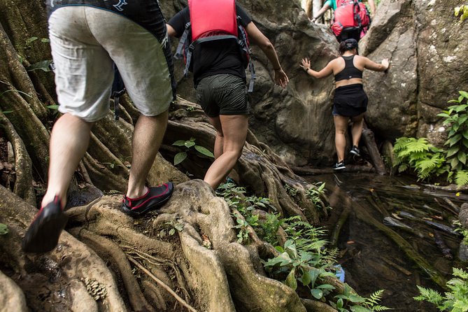 El Yunque Rainforest and Bio Bay Kayaking Combo Tour