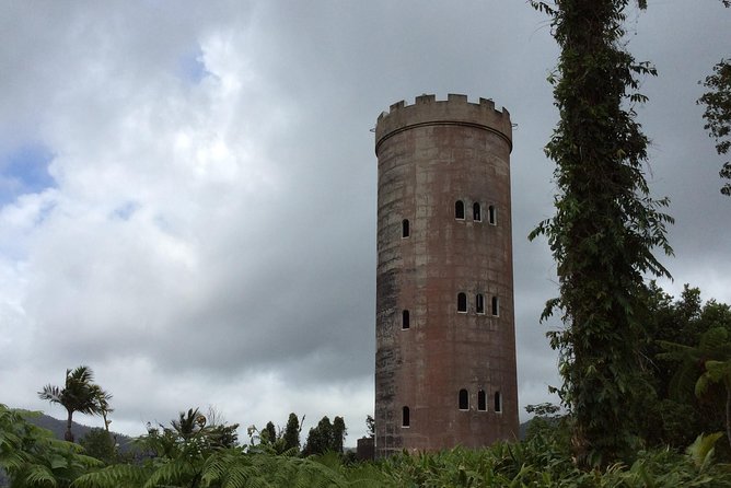 El Yunque Rainforest Hiking Tour From San Juan