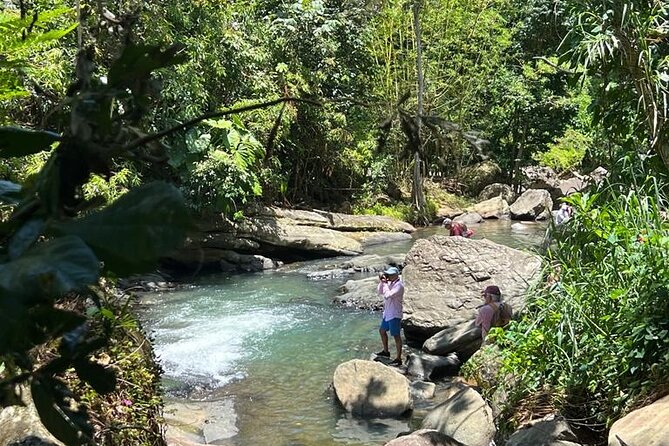 El Yunque Rainforest, Waterslides, and Beach Tour With Transport