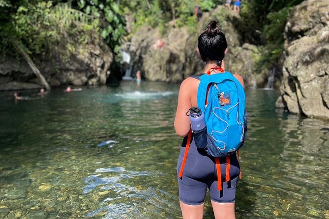 El Yunque Tour With Luquillo Lunch Stop and Transport: 6 Ppl Max
