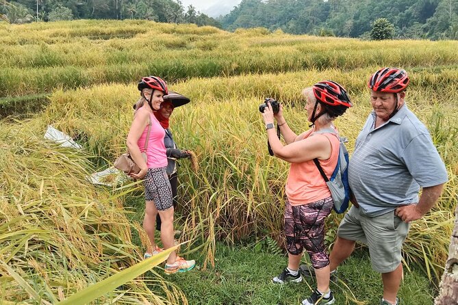 Electric Bicycle Tour in Jatiluwih UNESCO Site - Tour Overview