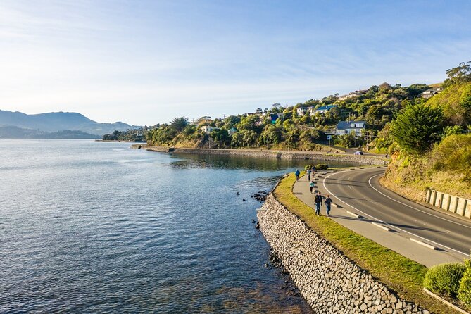 2 Best Bike Rentals In Dunedin and The Otago Peninsula