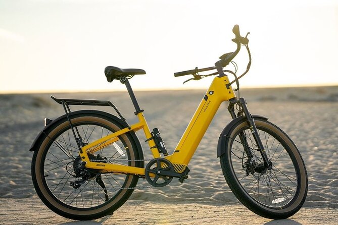 Electric Bike Rentals in The Villages Florida - Overview of Electric Bike Rentals