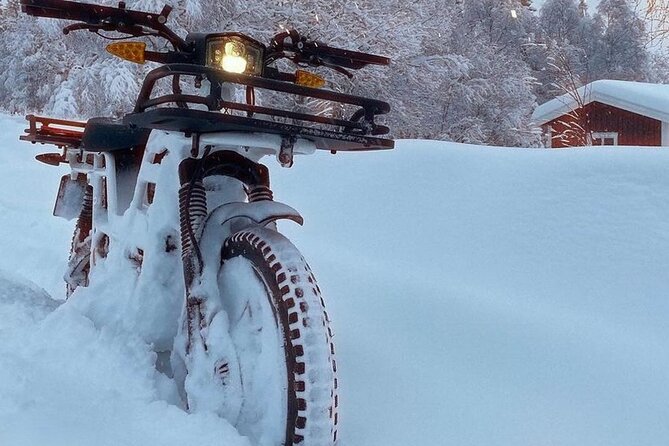 Electric Dirtbike Adventure in Lake Tahoe