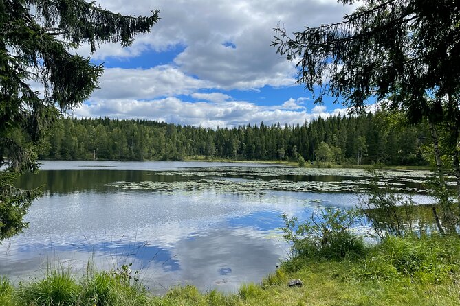 Electric Mountain Bike Tour in the Forest of Oslo - Exploring Maridalsvannet Lake