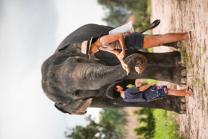 Elephant Jungle Sanctuary: Half Day Afternoon Program