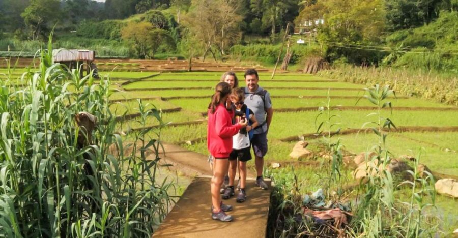 Ella: 9 Arch Bridge, Ella Rock, & Little Adam'S Peak Tour