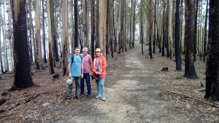 Ella: Pekoe Trail Stage 15 Trekking From Makulela to Ella - Activity Overview