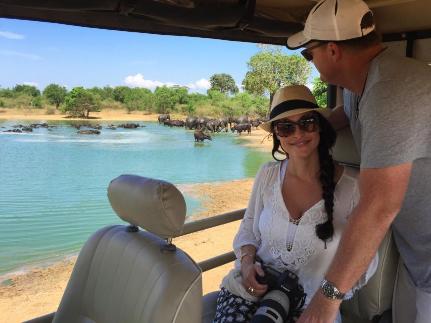 Ella: Shuttle to Down South Any Location W Udawalawa Safari