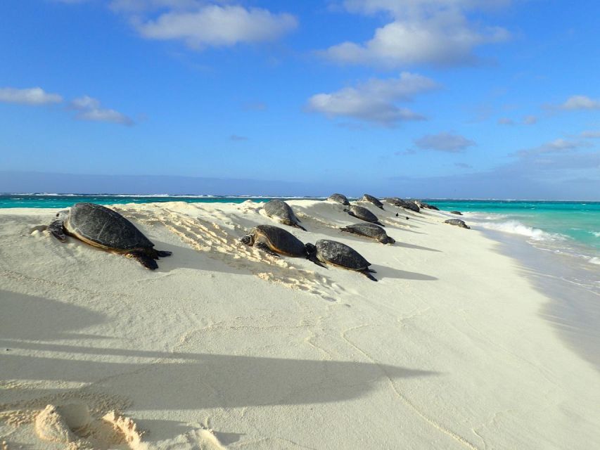 Enchanting Small Group Circle Island Tour of Oahu Paradise