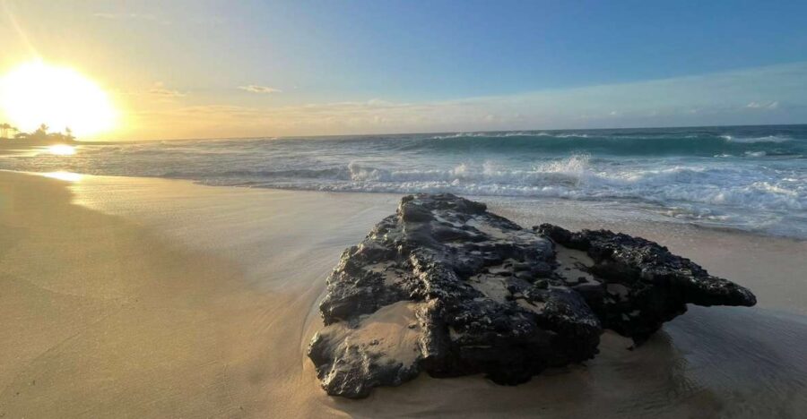 Enjoy Private Professional Photo Tour in Honolulu Island - Activity Overview