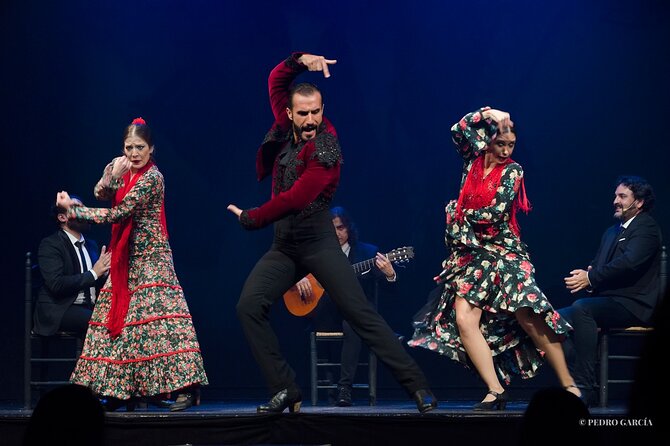 Entrance to the Flamenco Show at Teatro Flamenco Málaga - Experience Highlights