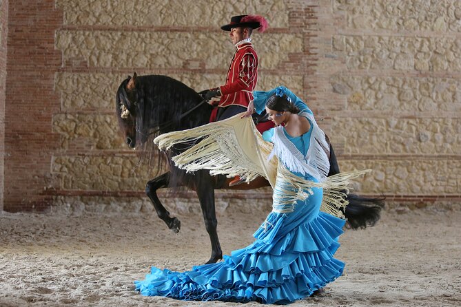Equestrian Show Royal Stables of Córdoba - Overview of the Equestrian Show