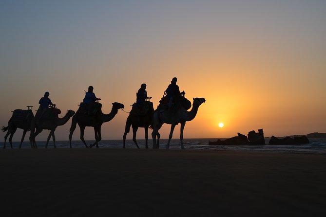 Essaouira: 1/2 Day Camel Ride With Meal.