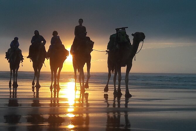 Essaouira 1 Hour Discovery Ride on the Back of a Camel