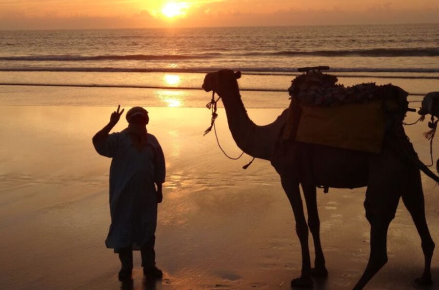 Essaouira: 3-Hour Dromedary Ride and Berber Tent Overnight - Overview and Pricing
