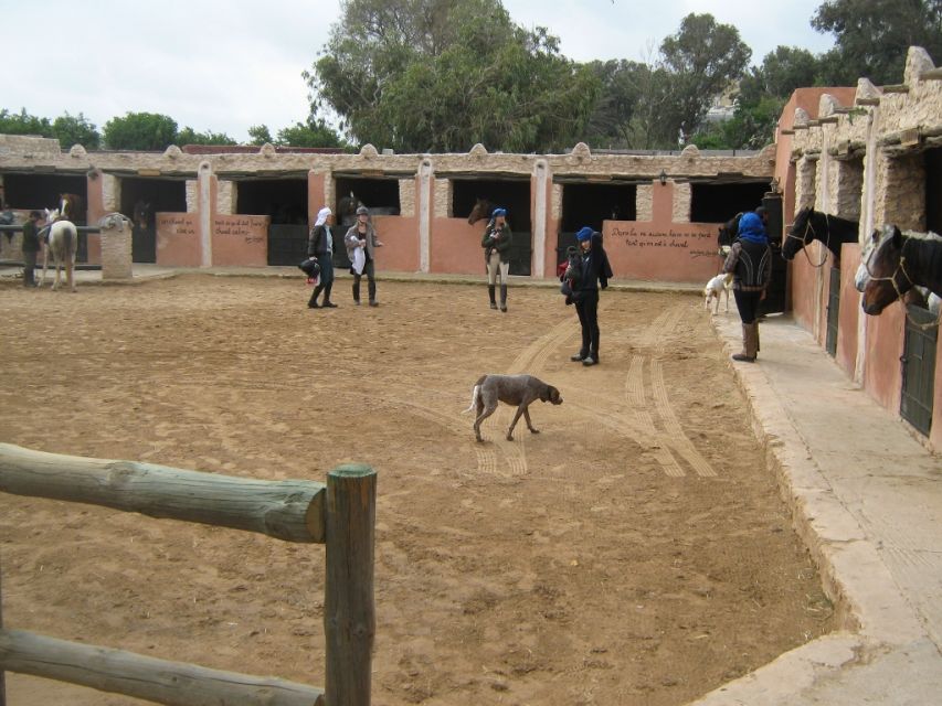 Essaouira: Full-Day Horse Riding Tour With Lunch