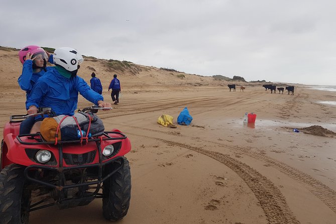 Essaouira: Quad Excursions / Half Day (Free Transfer)
