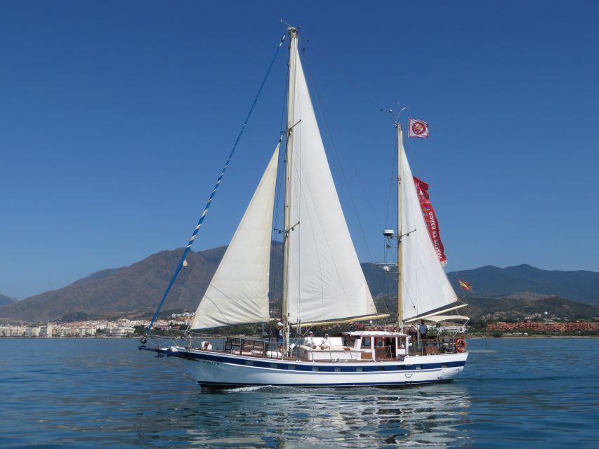 3 Best Dolphin Watching Tours In Estepona