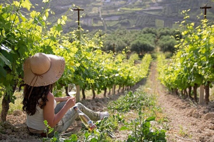 EUPHORIA Wine Tour & Tasting at Douloufakis Vineyards