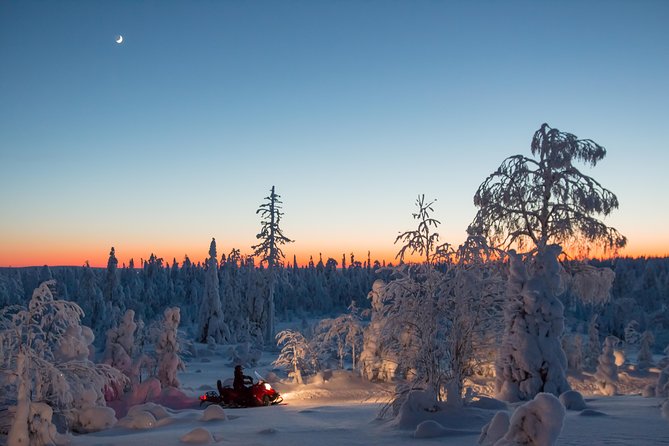 Evening Escape - Snowmobile Safari and Campfire in Rovaniemi - Overview of Snowmobile Safari