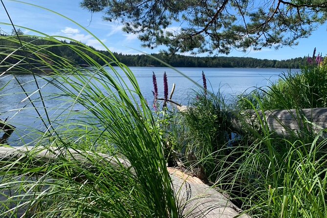 Evening Hike in Tyresta National Park - Inclusions and Transportation