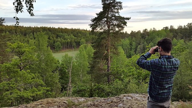 Evening Wildlife Safari Stockholm