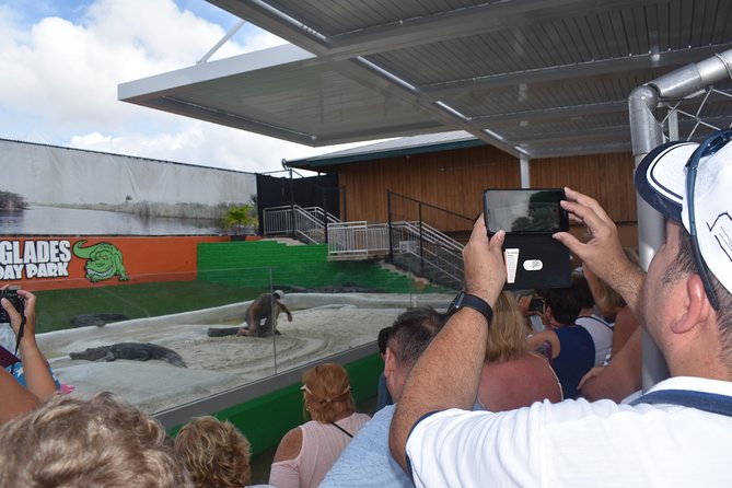 Everglades Air Boat Ride + Alligator Show. - Transportation Details