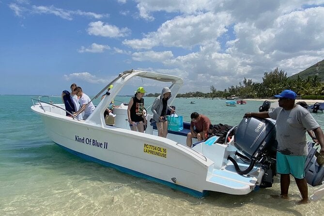 Exciting Dolphin Encounters in the Maurtiuss Lagoon