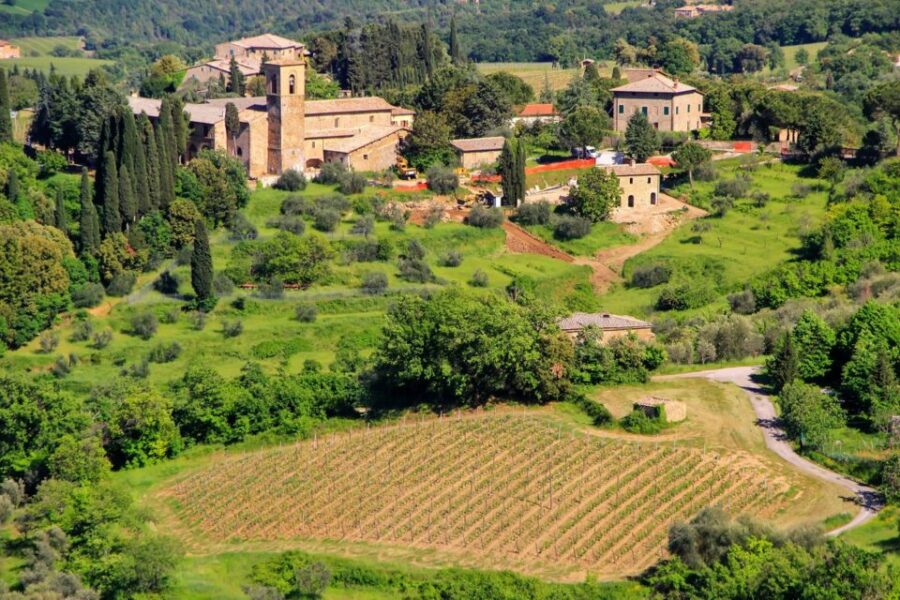 Exclusive Brunello Wine Tour a Private Luxury Experience - Tour Overview and Pricing