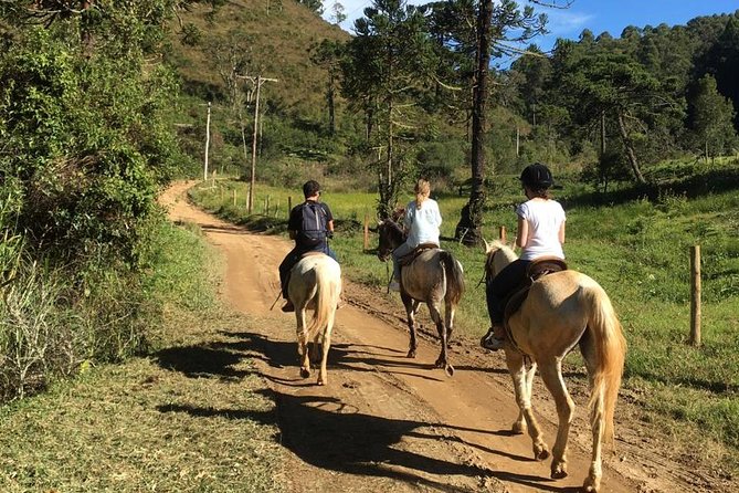 Exclusive Horse Experience With Pic-Nic at Belvedere - Tour Overview