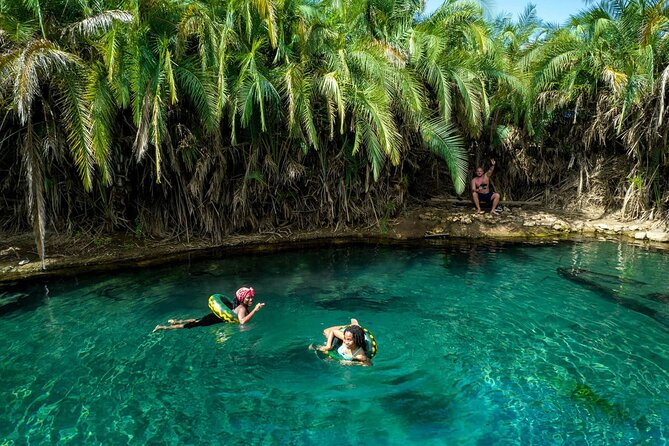 Exclusive Tour to Materuni and Kikuletwa Hotspring