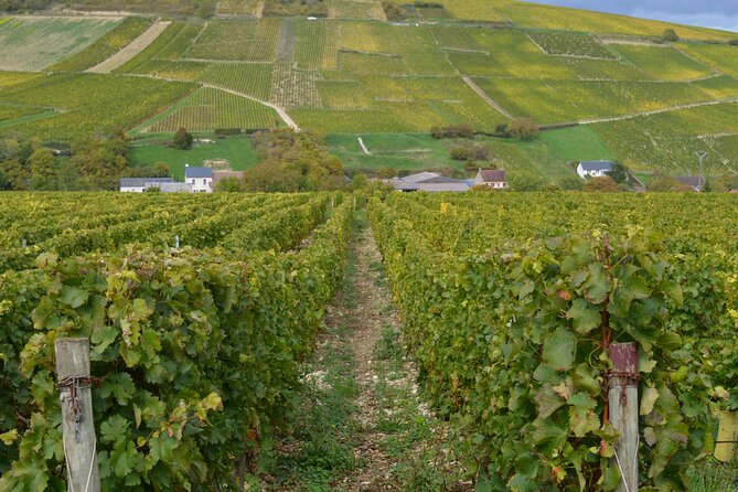 Exclusive Wine Tour in Sancerre & Pouilly-Fumé From Paris - Overview of the Tour