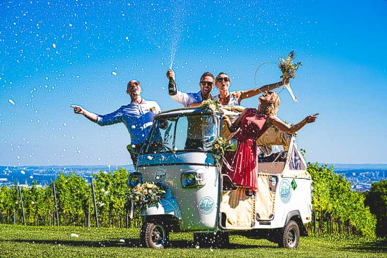 Exclusive Wineyard Picknick Overlooking Vienna