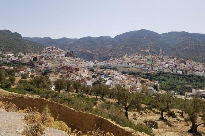 Excursion Day in Fès