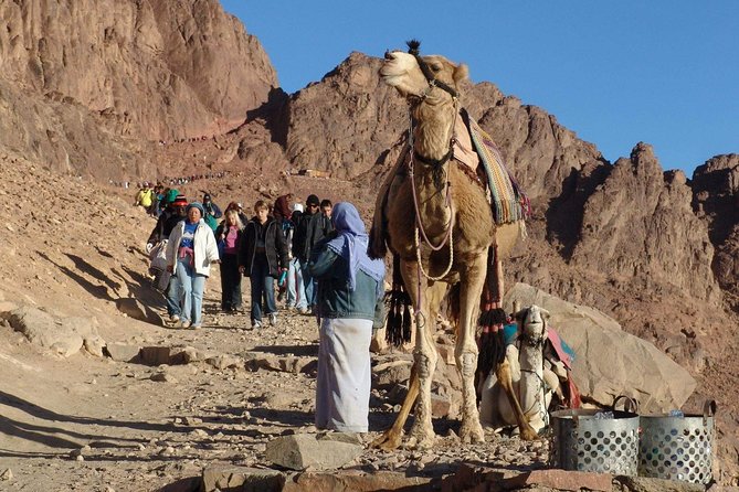 Excursion to Mosesberg and Kathrinen Monastery From Sharm El Sheikh