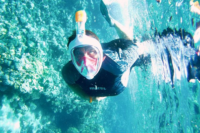 Excursion to Tiran Island by Boat